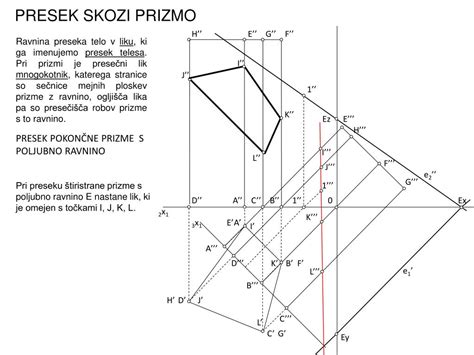Prečni presek skozi popkovnico