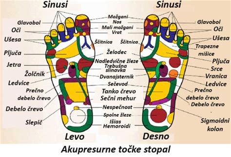 Akupunkturne točke na rokah in nogah