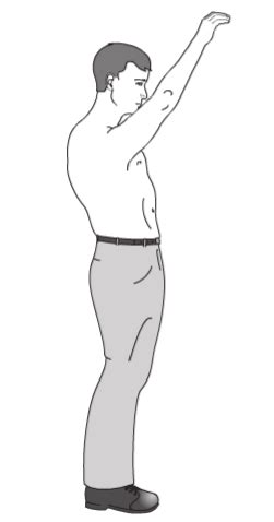 Nosečnica nežno razteza roke nad glavo v sončnem prostoru.