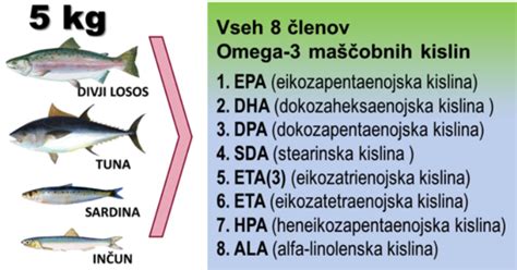 Diagram prikazuje strukturo omega-3 maščobnih kislin