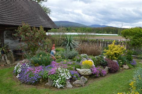 Barvit cvetlični vrt z afriškimi rastlinami