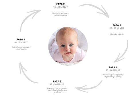 Diagram spalnih faz pri dojenčkih in odraslih