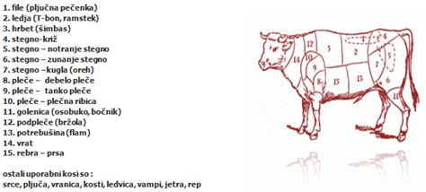 Različni kosi govejega mesa