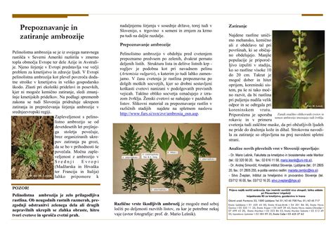 Grafikon cvetenja rastlin po mesecih v Sloveniji