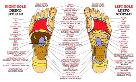 Slika stopala s kladivastimi prsti