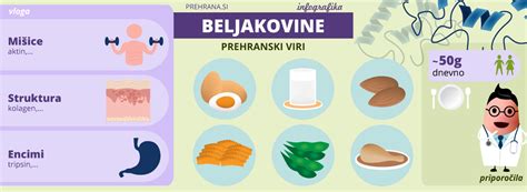 Ilustracija raznolike in zdrave prehrane doječe matere, ki vključuje sadje, zelenjavo, žitarice in beljakovine.
