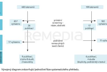 Diagram: Faze poporodnega okrevanja