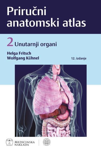 Prikaz anatomije pasjih reproduktivnih organov