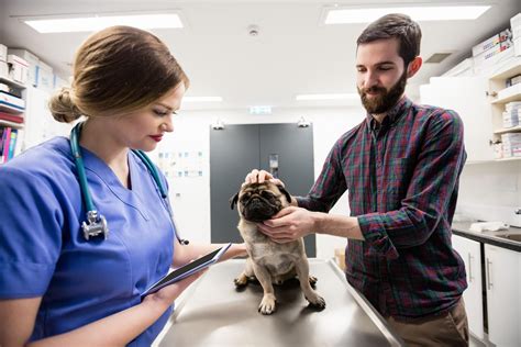 Ilustracija psa pred veterinarsko ambulanto