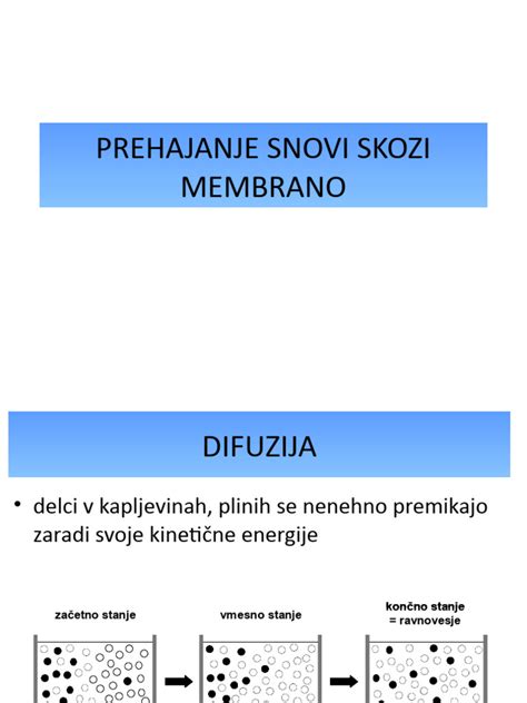 Diagram prenosa snovi skozi posteljico