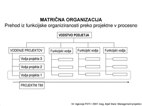Diagram, ki prikazuje prehod snovi iz materinega telesa na plod preko posteljice