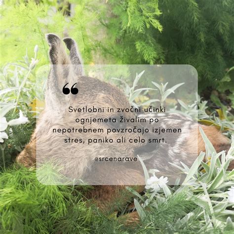 simbolična slika, ki predstavlja stres ali tesnobo