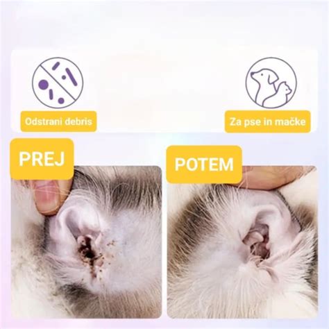 Primerjava ušes psa z dolgimi, povešenimi uhlji in psa z pokončnimi uhlji