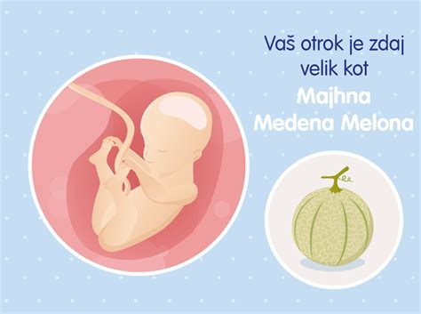 Ilustracija ženske v 25. tednu nosečnosti