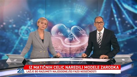 Ilustracija jajčec v jajčniku