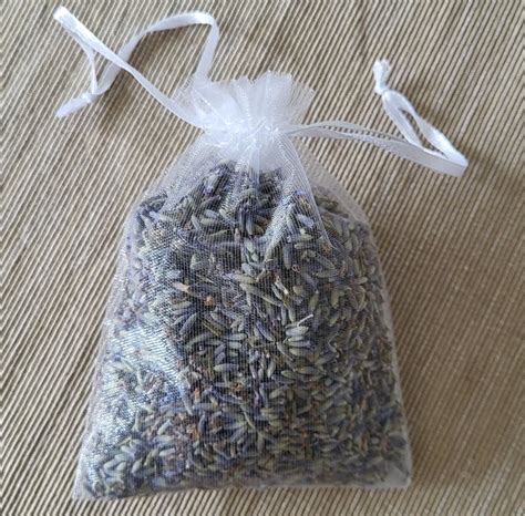 Posušeni cvetovi sivke