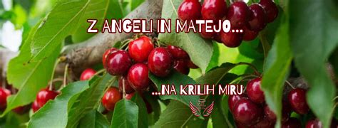 Simbolično srce za družino