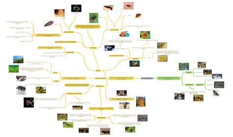 Diagram prehranske sestave krave pred telitvijo