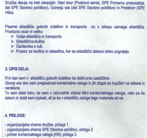 Vsebina nosečniškega dnevnika