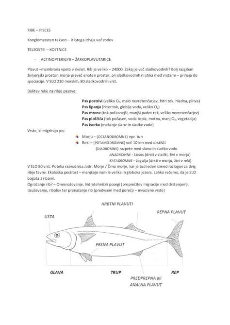 Detajli Googy interaktivnega sprehajalnika s slikami različnih aktivnosti