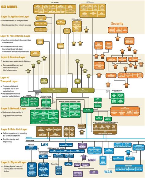 Diagram hormonske osi hipotalamus-hipofiza-jajčniki