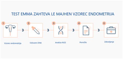 Prenos zarodka v maternico