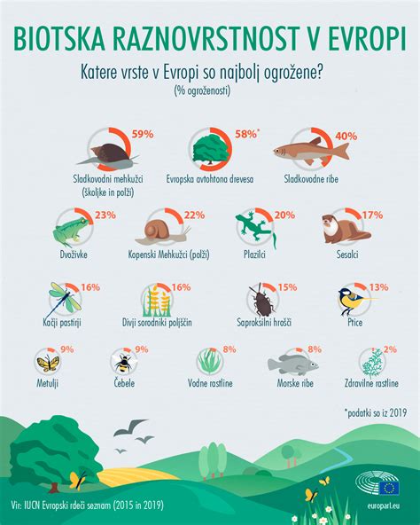 Grafikon, ki prikazuje razlike v absorpciji železa iz rastlinskih in živalskih virov