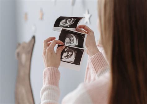 Pregled ključnih hranil za žensko plodnost