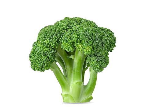 Brokoli