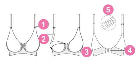 Diagram, ki prikazuje različne tipe modrčkov za dojenje (npr. brezšivni, s penastimi košaricami, s kostjo)