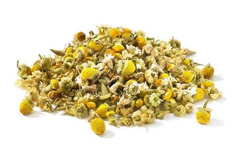 Slika kamiličnih cvetov