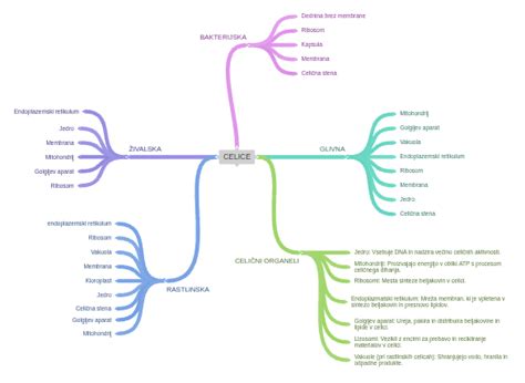 Diagram celice