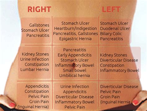 Shematski prikaz organov v zgornjem levem delu trebuha