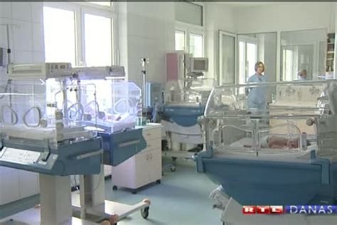 diagram pravilne lege teleta pri porodu