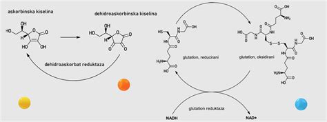 Struktura molekule vitamina C (askorbinske kisline)