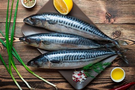 mastne ribe kot vir omega-3