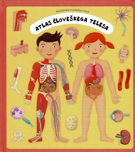 Diagram človeškega telesa z označenimi organi, ki jih lahko prizadene preeklampsija