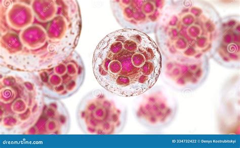 prikaz bakterije Chlamydia trachomatis pod mikroskopom