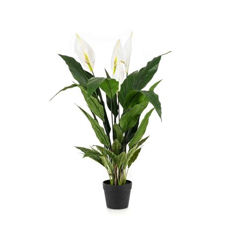 Ilustracija rastline artičoke z listi in cvetnimi košaricami