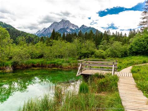 Zelenci na izviru Save Dolinke