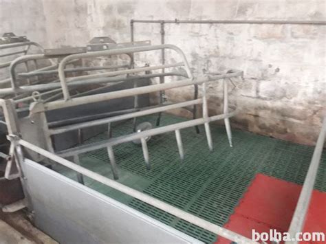 Sodobni porodni boks za svinje