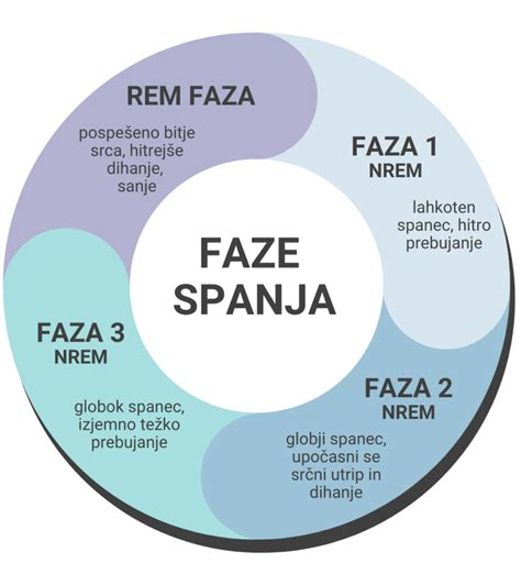Graf prikazuje faze spanja dojenčka
