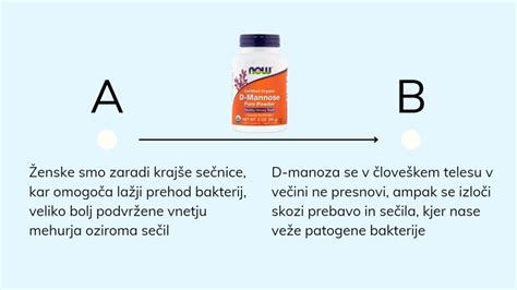 Ilustracija ženskega urinirnega trakta in mehurja