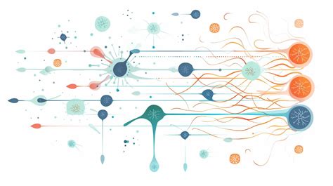 Diagram človeških reproduktivnih celic