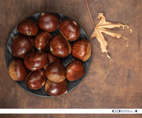 Diagram: Delovanje prehranskih vlaknin na prebavo