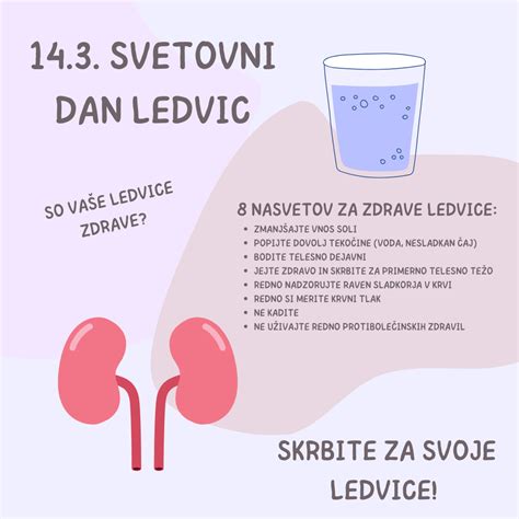 Diagram razvoja ledvic