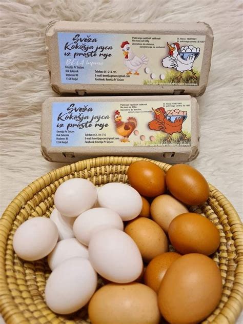 Slika svežih jajc v kartonski embalaži
