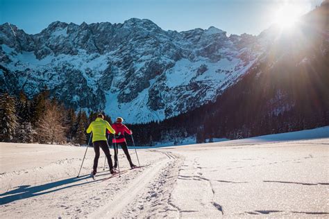 Ilustracija ženske, ki teče na smučeh po zasneženi gozdni poti