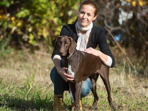 Zdrav pes z bleščečo dlako