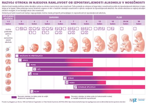 Diagram razvoja sluha pri plodu